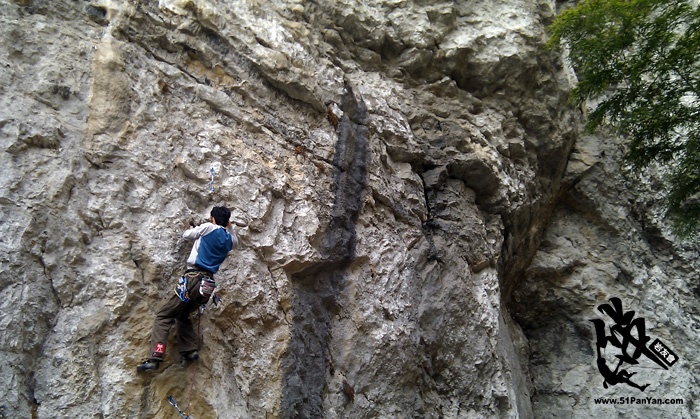 IMAG0025.jpg
