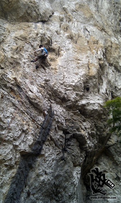 IMAG0036.jpg