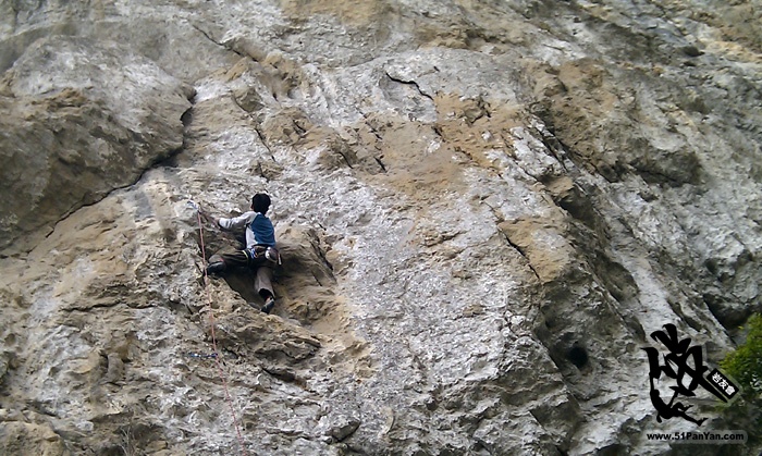 IMAG0041.jpg