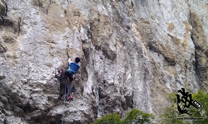 IMAG0064.jpg