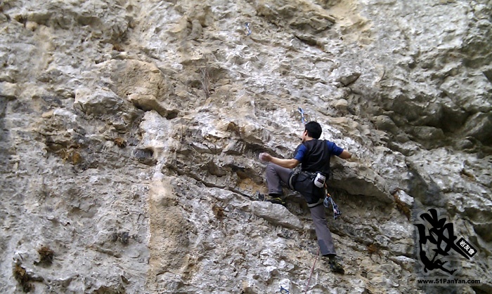 IMAG0081.jpg