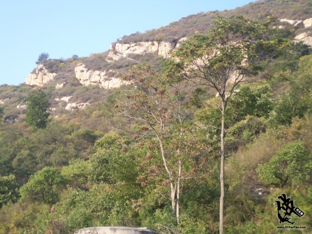 100_4332~1.jpg