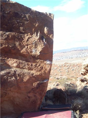 Crimpy Solutions.jpg