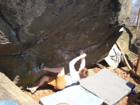Echo Belly V8.jpg