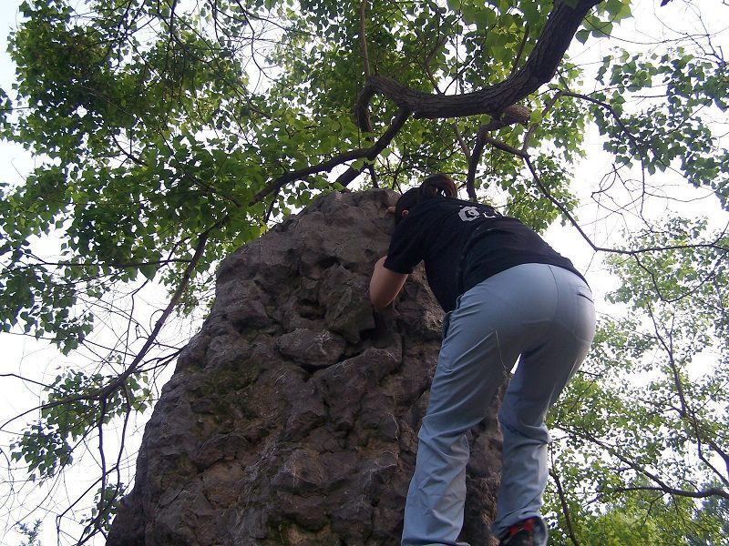 100_6944.jpg