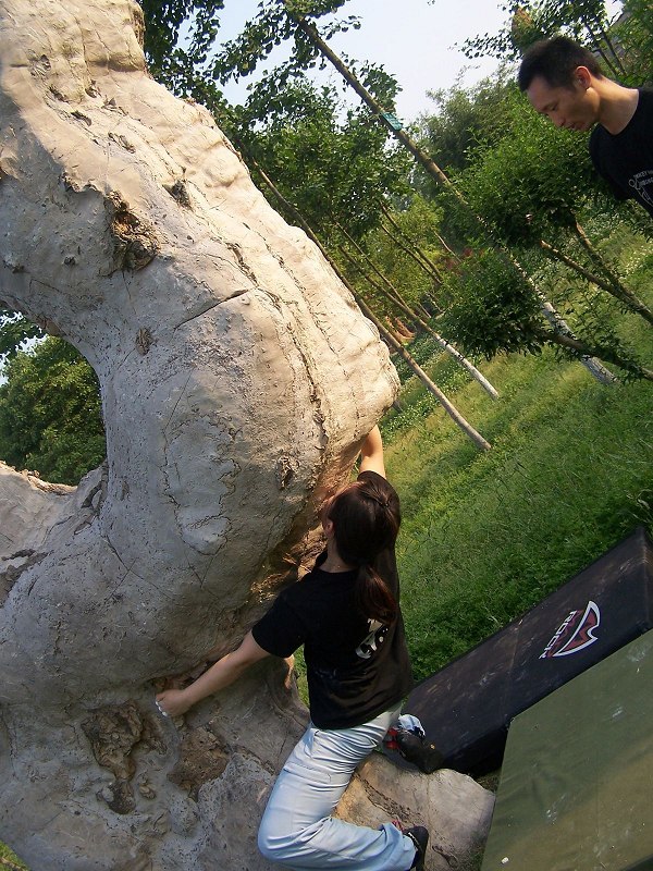 100_6954.jpg