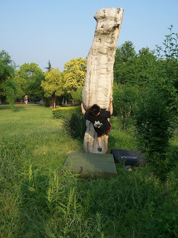 100_6950.jpg