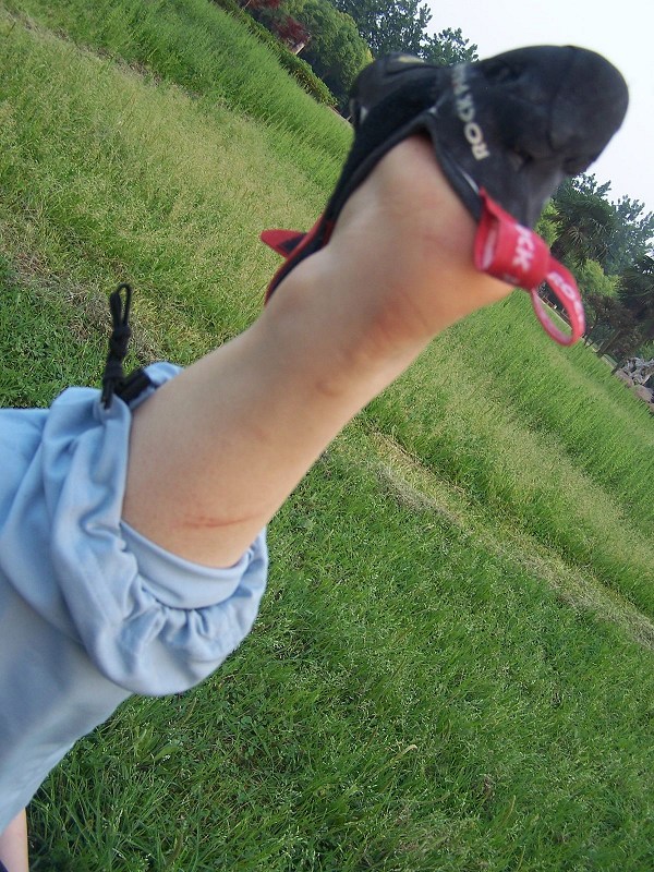 100_7025.jpg