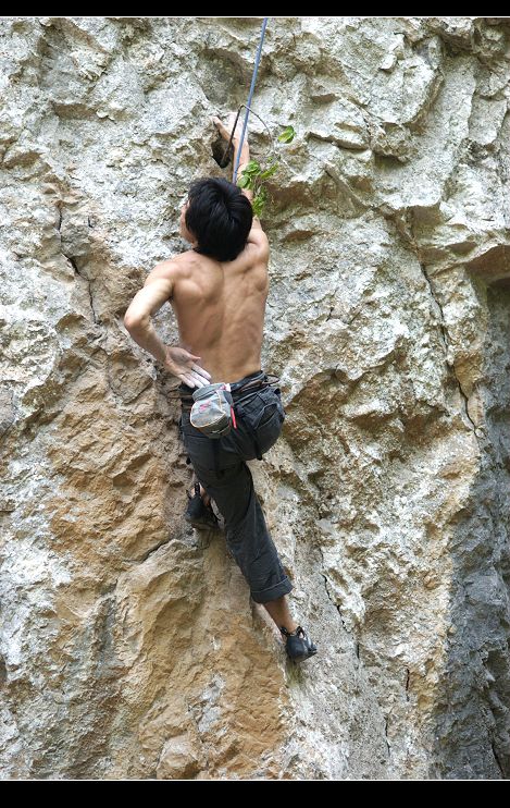 nEO_IMG_DSC_0195.jpg