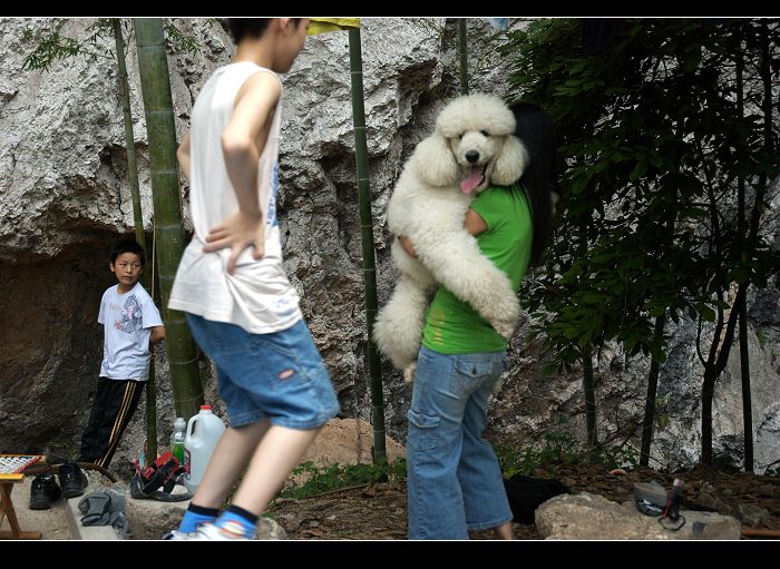 nEO_IMG_DSC_0237.jpg
