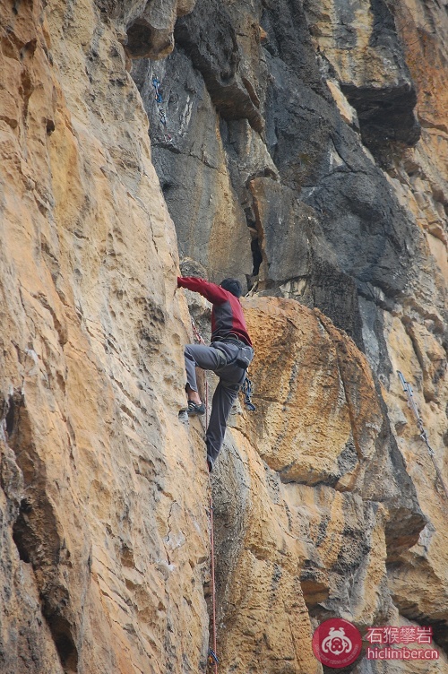 DSC_8707.JPG