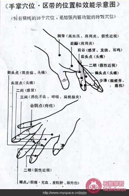 92791_2820603_5.jpg
