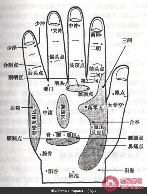 92791_2820603_2.jpg