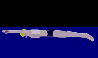w2.gif
