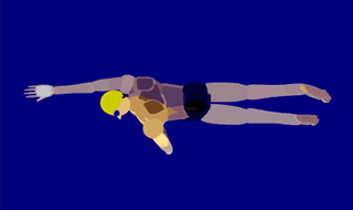 z2.gif