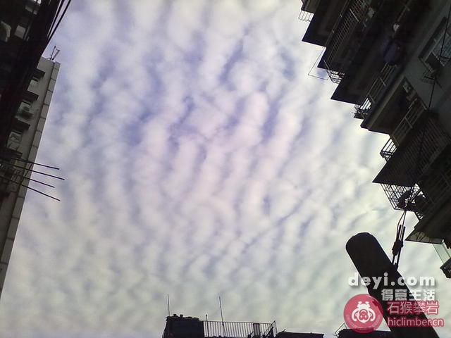 20100424_46dc15a698ca7de4b564Lku9FVJniG1t.jpg