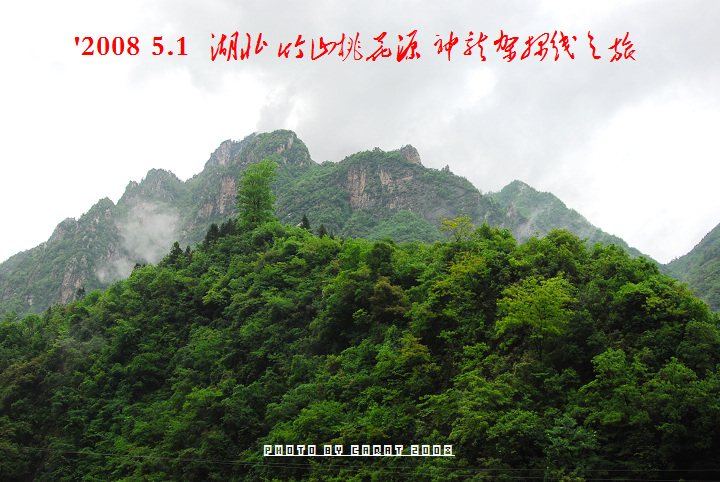 DSC_8486-1.jpg