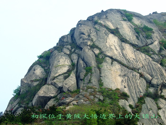200841317411.jpg