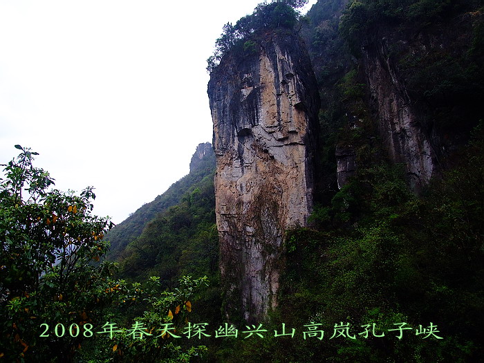 20084618325.jpg