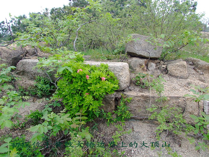 200841482422.jpg
