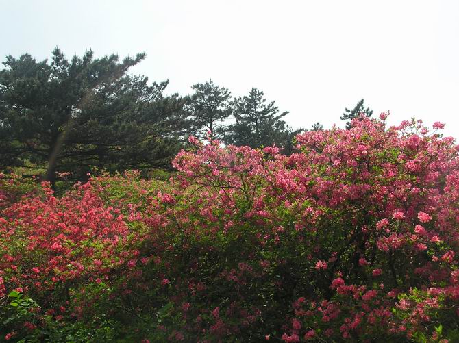 P1010100.jpg