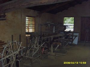 SSL22591.jpg