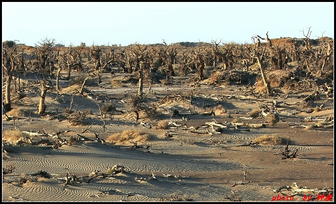 2006112216749.jpg