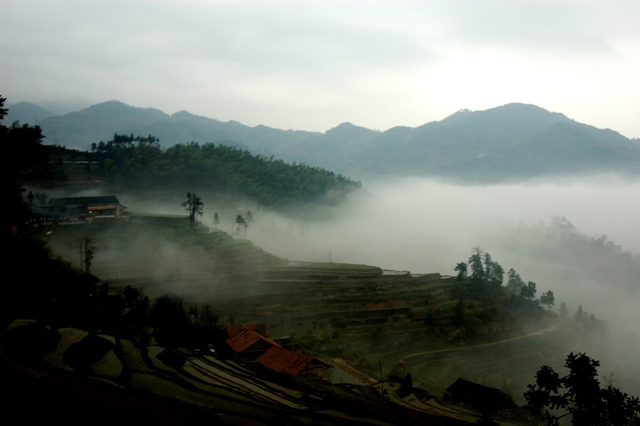 200848124829.jpg