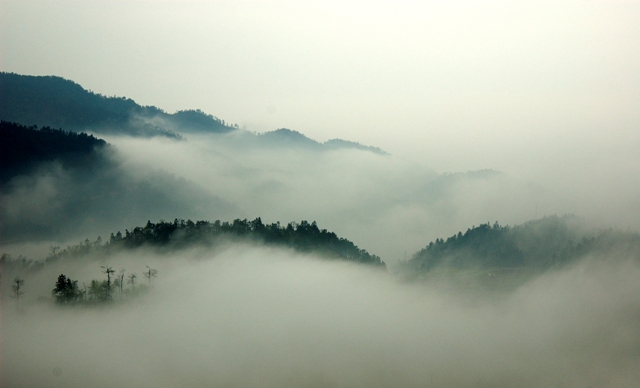 20084812751.jpg