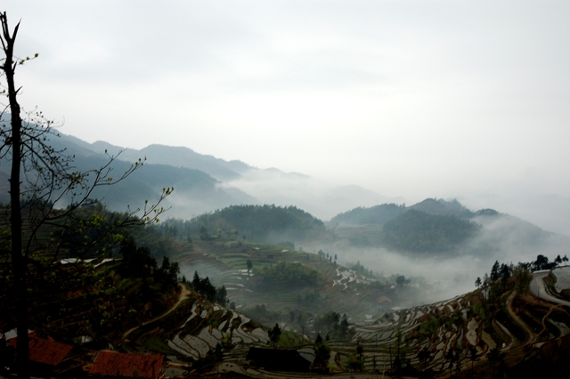 20084812650.jpg