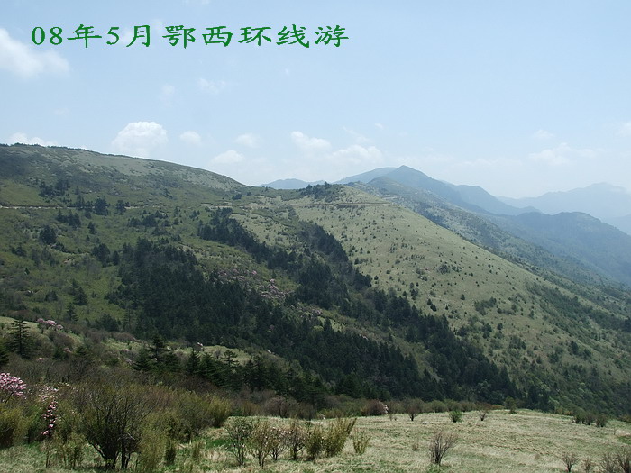DSCF7709.jpg