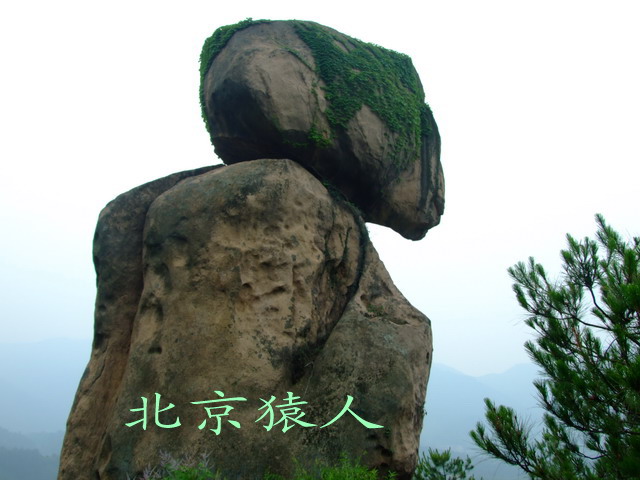 200761317442655164.jpg