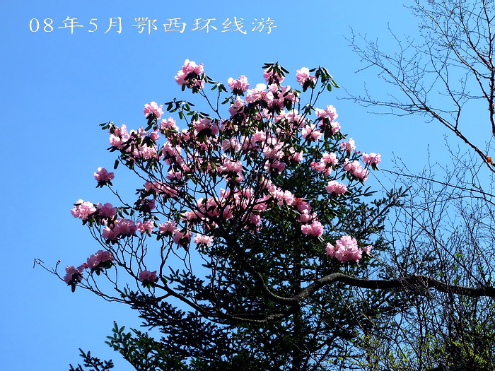 DSCF7627.jpg