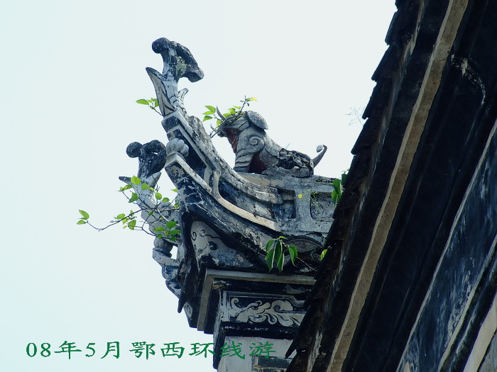 DSCF7760.jpg