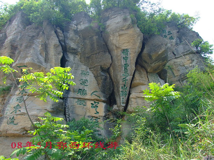 DSCF7802.jpg