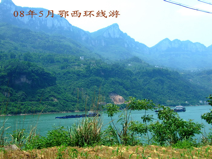 DSCF7777.jpg
