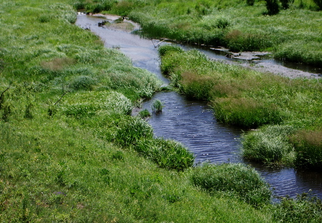 20078179250.jpg