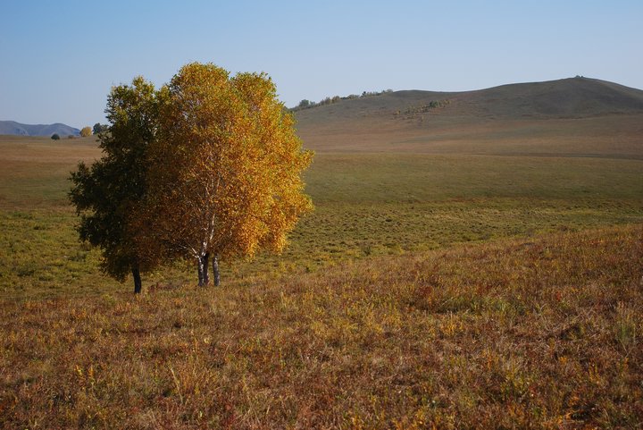 200793022449.jpg