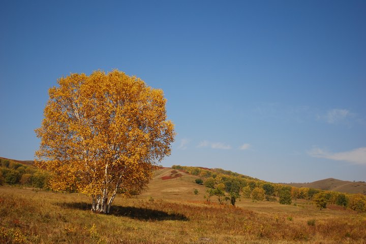 20079302307.jpg