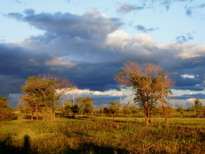 2007817101950.jpg