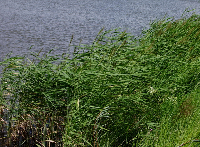 2007817103114.jpg