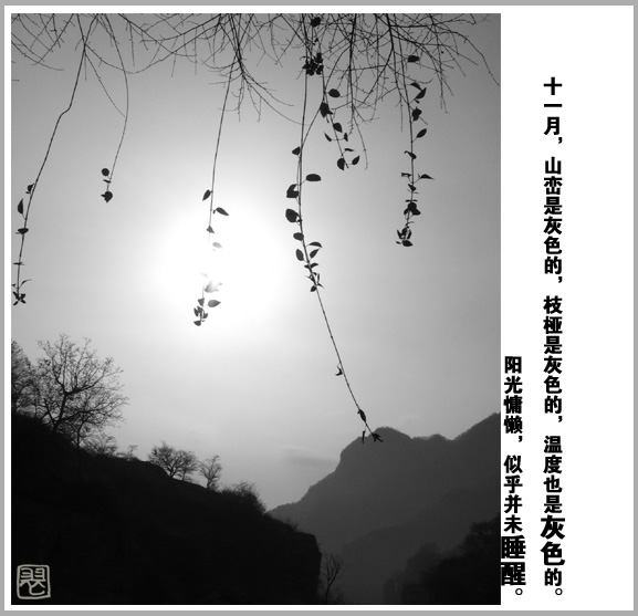 20061126154946.jpg