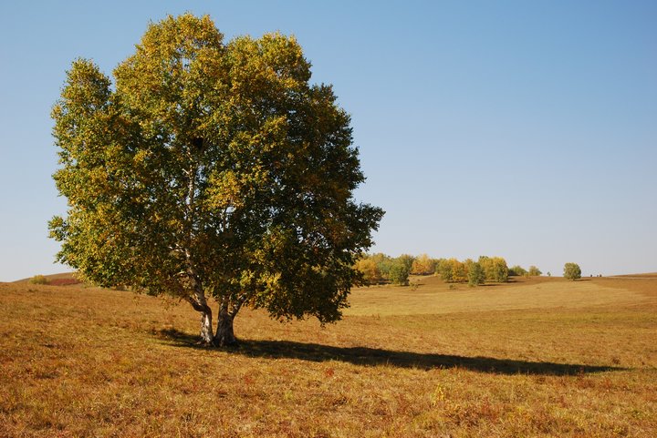 200793022432.jpg