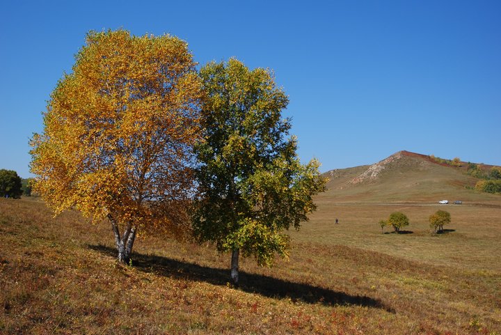 20079302258.jpg