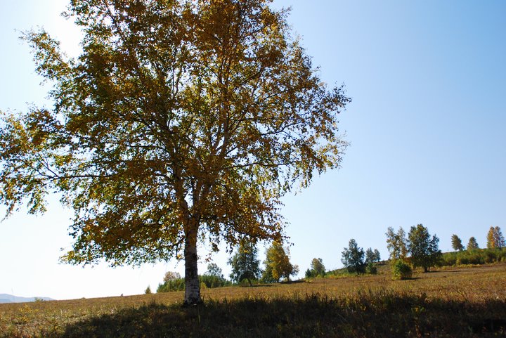 200793022910.jpg