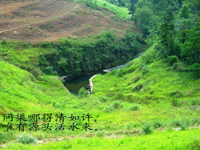 20076411452.jpg