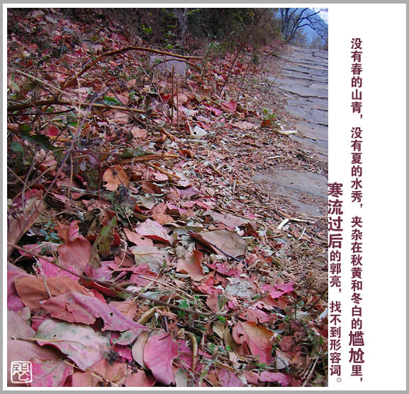 20061126154840.jpg