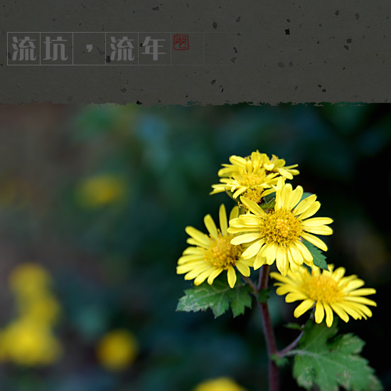 2007122021530.jpg