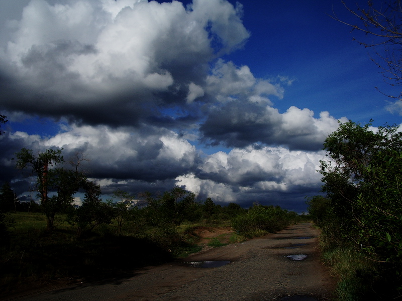2007817101244.jpg