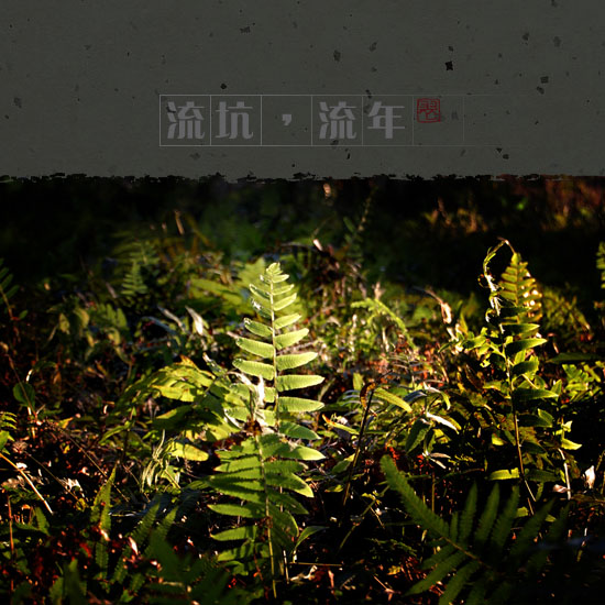 20071220214645.jpg